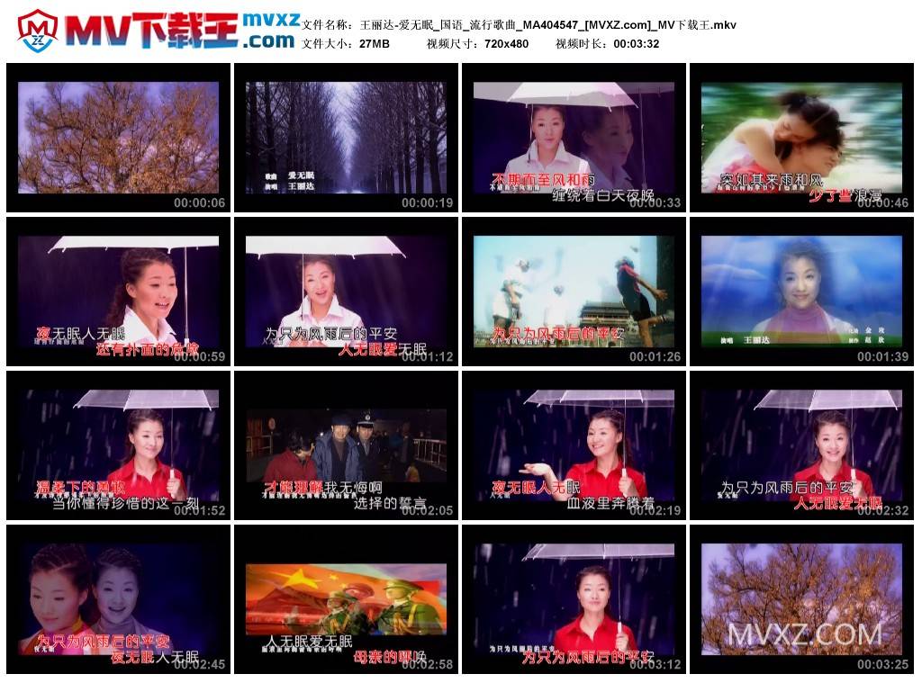 王丽达-爱无眠_国语_流行歌曲_MA404547